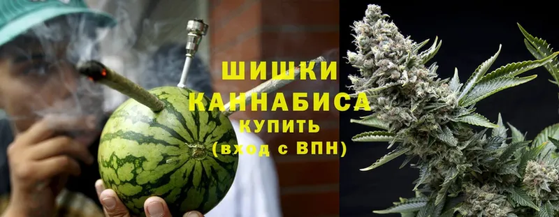 Бошки марихуана White Widow  Москва 